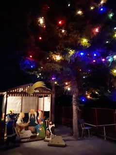 Vánoční strom hlavní - Žiželice