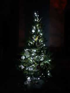 Vánoční strom Přívlaky