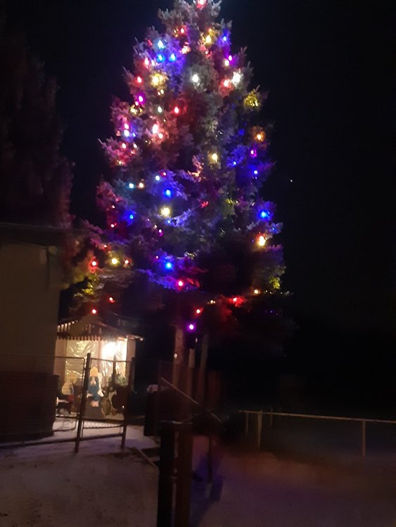 vánoční strom Žiželice.jpg